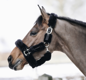 Halster Kentucky Sheepskin