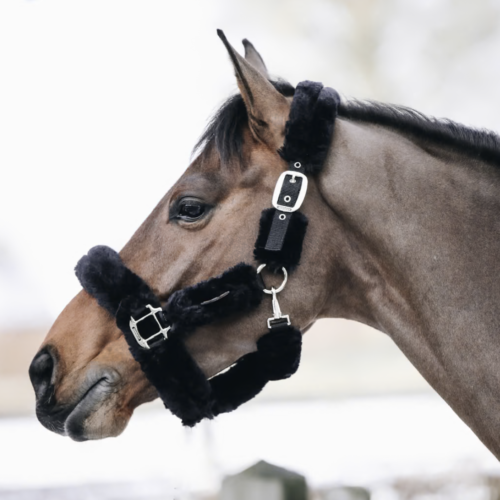 Halster Kentucky Sheepskin